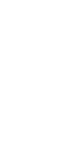 Seo Text