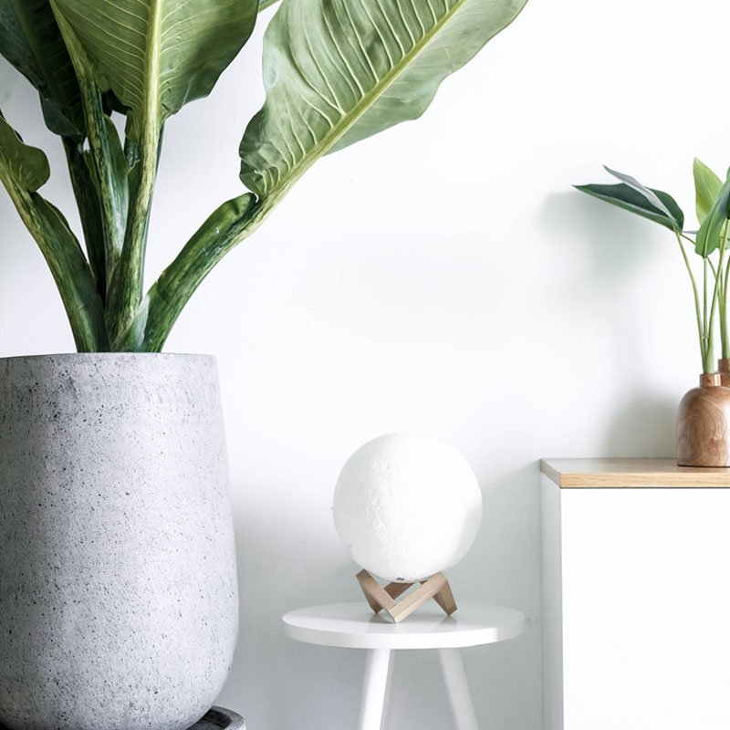 Furniture Post 2